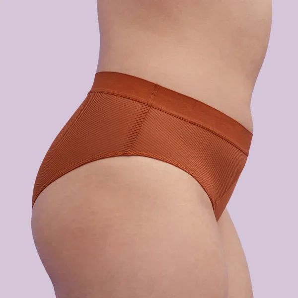 Shadow Stripe Mid-Rise Brief - Image 2